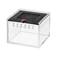 Terrario de 1PC para mascotas con caja de alimentación de acrílico para reptiles, arañas, alacranes y escarabajos - Multicolor - Ver 13