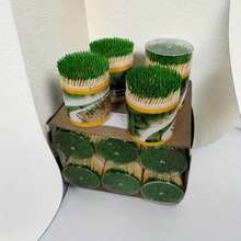 400pcs/Can, Disposable Mint Flavored Multifunctional Toothpicks, For Teeth Cleaning, Fruit Fork Toothpicks, Portable Toothpicks For Home, Restaurant, Hotel, Commercial, Wedding, Party, Cleaning Tools - Green - View 5