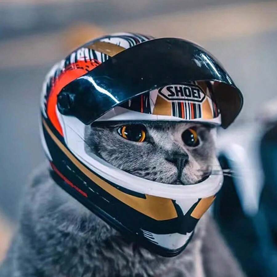 Un casco de moto para gato, casco de motocicleta para mascotas para gatos y perros pequeños, gorro de moto mini y fresco para la seguridad
