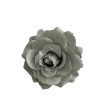 1 Peça Grampo de Cabelo Tipo Garra com Flor de Rosa de Cor Sólida, Acessórios Escolares