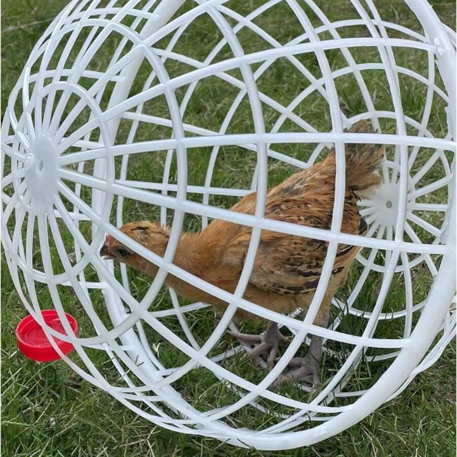 Hühnerball Käfig Beweglich - Portable Geflügelauslauf Sicher