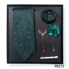 AlanKing 一套男士领带、口袋巾和新郎胸针，适合正式商务和婚礼装饰，学校情人节情人节男士领带