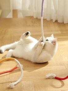 1pc Cat Toy With Biting Rope, Worm-Shaped Fruit Grinding Teeth Stick, Self-Entertaining And Teasing Stick With Rope - Multicolor - View 3