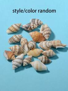 1pc Natural Shell Mini Conch DIY Jewelry And Scenery Prop Material, Including Screw Conch And Flower Conch - Multicolor - View 1