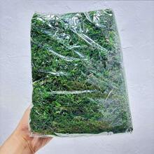 800克/包綠色人工苔蘚，適用於戶外盆栽花園裝飾 - 綠色 - 查看 7