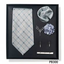 AlanKing 一套男士领带、口袋巾和新郎胸针，适合正式商务和婚礼装饰，学校情人节情人节男士领带