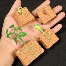 Simulation Of Plant Growth Cycle Soil Seed Germination And Growth Process Landscape Model, Interactive Plant Growth Model, Ideal Learning Gift - Multicolor - View 1