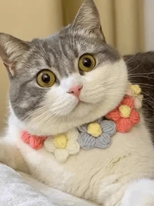 1 pieza Collar y collar de mascotas hecho a mano con hilo tejido y flores coloridas para gatos y perros, accesorio adorable para mascotas