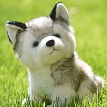 1 件超可爱柔软的哈士奇狗毛绒玩具娃娃，可作为儿童生日和节日礼物 - 白色 - 查看 1