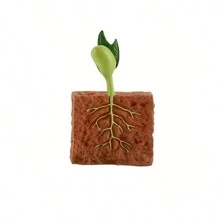 Simulation Of Plant Growth Cycle Soil Seed Germination And Growth Process Landscape Model, Interactive Plant Growth Model, Ideal Learning Gift - Multicolor - View 11