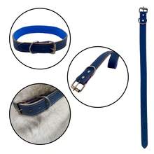 Pet Collars - Màu xanh lam - Xem 4