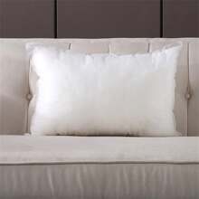 1pc Cushion Core For Hotel/Dorm Decorative Pillows, Nonwoven Cloth White Pillow Filling, Non-Detachable, Outer Cover Not Included - View 8