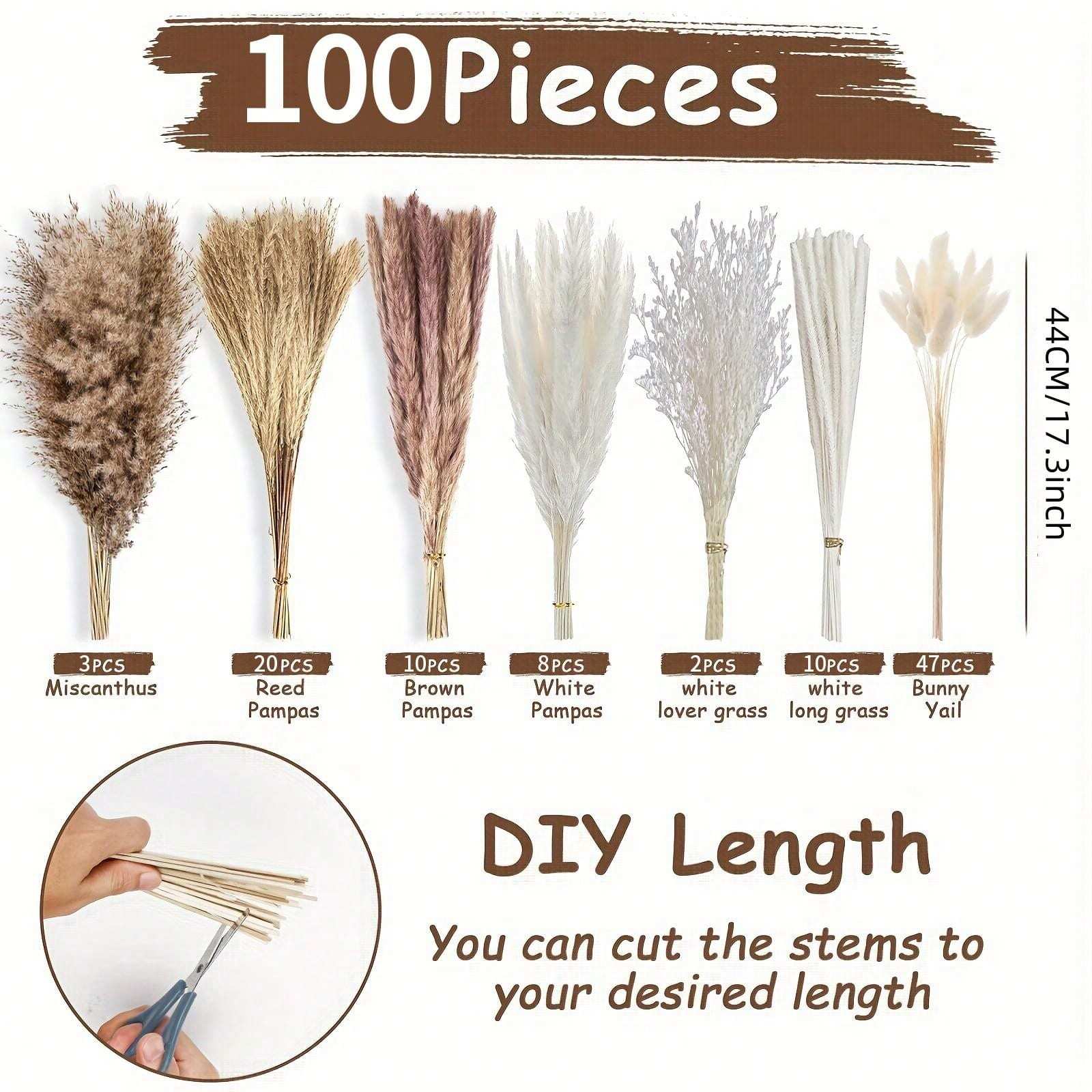 100pcs Pampas Grass Bohemian Style Home Decor Natural Dried Pampas
