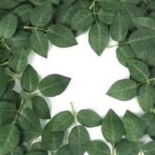 Fake Leaves For Roses Decorations, 10/15/20/25/30/50/80/100pcs Bulk Green Rose Leaves With Stems For DIY Wedding Bouquets Centerpieces Party Decorations Rose Vine Wreath Garlands Supplies
