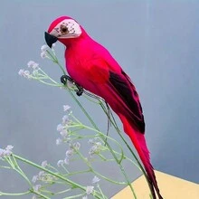 1 Pieza de Pájaros Artificiales Pájaros Falsos Halloween Papagayo de Pirata Aves con Plumas Figura de Papagayo Decoración para Manualidades Jardín Selva Ornamento de Hogar, Colores Surtidos (Papagayo) - Blanco 1 Uds. - Ver 4