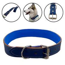 Pet Collars - Màu xanh lam - Xem 3