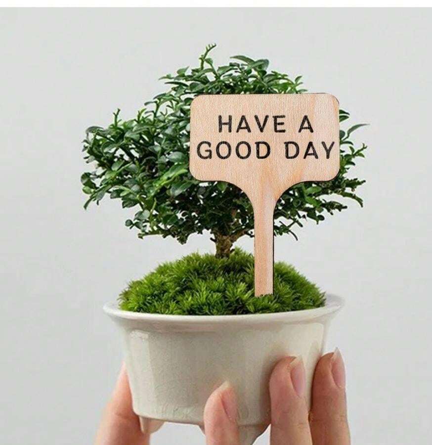 20 Etichette Per Piante In Legno - Targhette Lavagna Per Orto E Giardino - Foto 8