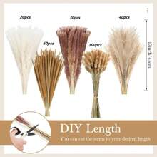 250pcs 17-Inch Brown & White Dried Fluffy Pampas Grass Decor For Boho Home, Wedding Decoration - Multicolor - View 2