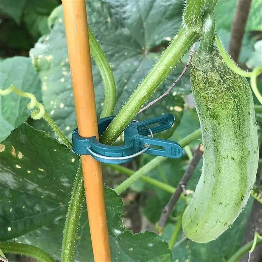 20pcs Grafting Clips, Greenhouse Clamp, Stand Plastic Plant Clip