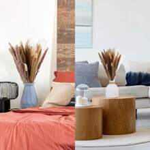 250pcs 17-Inch Brown & White Dried Fluffy Pampas Grass Decor For Boho Home, Wedding Decoration - Multicolor - View 3