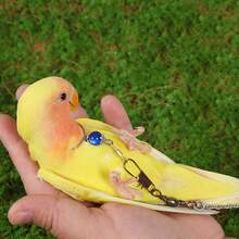 Fashionable Bird Walking Tool For Training To Walk And Free Birds With Parrot Neck Collar, Ankle Chain And Tether Chain, Great Gift For Friends - Green - View 2