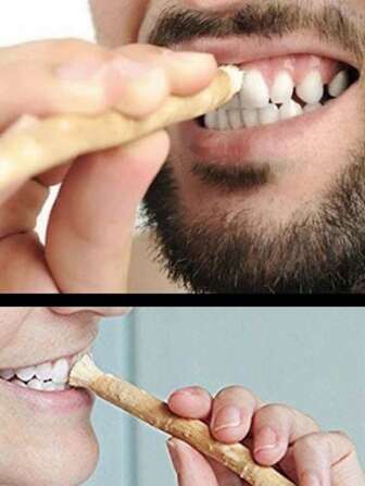 Natural Plant Toothbrush Miswak, 3000-Year History Toothbrush Home Bathroom Decor Fall Decor Back To School