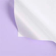 10 piezas/20 piezas Papel de envoltura de ramo de papel eurasiático, papel de unicolor coreano de primer amor, papel monocromático transparente resistente al agua, papel de poliéster de flores de papel Ouya, papel de envolver para suministros de ramo, papel de regalo, papel de envolver para flores, envoltura de regalo, empaque de regalo, boda - 10 piezas - Ver 15