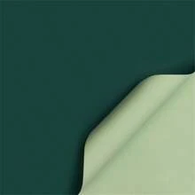 10 piezas/20 piezas Papel de envoltura de ramo de papel eurasiático, papel de unicolor coreano de primer amor, papel monocromático transparente resistente al agua, papel de poliéster de flores de papel Ouya, papel de envolver para suministros de ramo, papel de regalo, papel de envolver para flores, envoltura de regalo, empaque de regalo, boda - 10 piezas - Ver 28