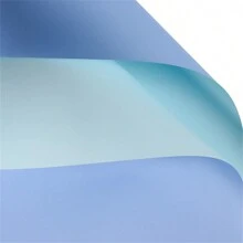 10 piezas/20 piezas Papel de envoltura de ramo de papel eurasiático, papel de unicolor coreano de primer amor, papel monocromático transparente resistente al agua, papel de poliéster de flores de papel Ouya, papel de envolver para suministros de ramo, papel de regalo, papel de envolver para flores, envoltura de regalo, empaque de regalo, boda - 10 piezas - Ver 26