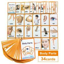 26 Categories Children's Daily Habits, Fruits, Foods, Body Parts English Montessori Flash Cards, Pocket Cards, Educational Learning Toys, Picture Memory Game Cards For Preschool - Multicolor - View 26