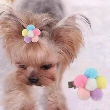 5 Chiếc Ngẫu Nhiên Thu Nhỏ Kẹp Tóc Thú Cưng Handmade Sang Trọng Hình Thú Cưng Trang Trí Kẹp Tóc - Nhiều màu - Xem 1