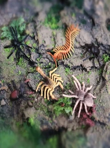 12pcs Realistic Mini Insect & Animal Model Set, Include Grasshopper, Butterfly, Ladybug, Dragonfly, Honeybee - Educational Collection & Display, Christmas/Easter/