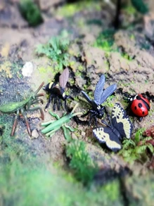 12pcs Realistic Mini Insect & Animal Model Set, Include Grasshopper, Butterfly, Ladybug, Dragonfly, Honeybee - Educational Collection & Display, Christmas/Easter/