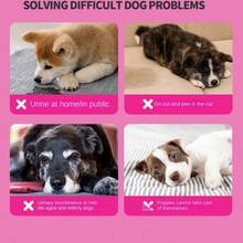 Dog Diapers For Male And Female Dogs, Color Changing Menstrual Pads, Pet Paper Diapers - Baby Blue - View 3