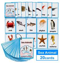 26 Categories Children's Daily Habits, Fruits, Foods, Body Parts English Montessori Flash Cards, Pocket Cards, Educational Learning Toys, Picture Memory Game Cards For Preschool - Multicolor - View 28