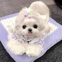 5 Chiếc Ngẫu Nhiên Thu Nhỏ Kẹp Tóc Thú Cưng Handmade Sang Trọng Hình Thú Cưng Trang Trí Kẹp Tóc - Nhiều màu - Xem 2