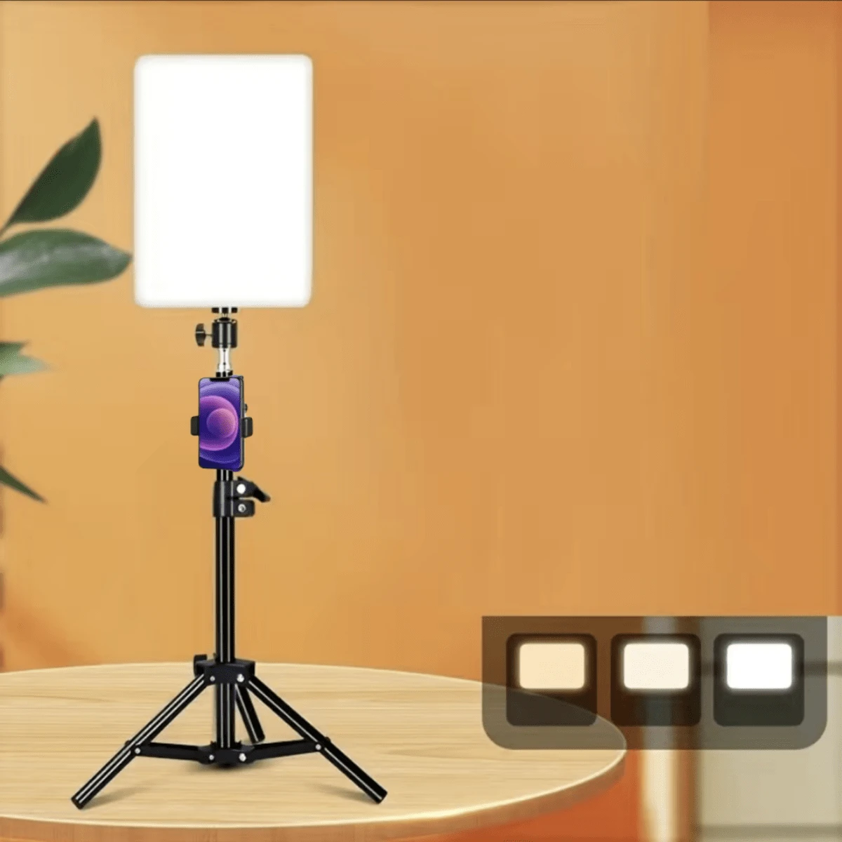 10 นิ้ว Heavy Duty Light Stand,ขาตั้งกล้องแบบปรับได้ 0.55 เมตร ...