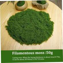 Fake Moss, 50g Artificial Moss For Indoor Plants, Fairy Garden Plants Filler Decorative Moss, DIY Faux Moss For Crafts Plant Pot Decorations(Green), Valentine Day, Gift Gifts Birthday Graduation - Dark Green - View 2