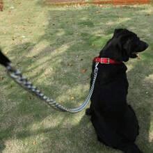 1只寵物牽繩附件,3.0mm厚鐵鏈帶有柔軟的黑色織帶手柄,長度為1.2m/4ft或1.8m/8ft