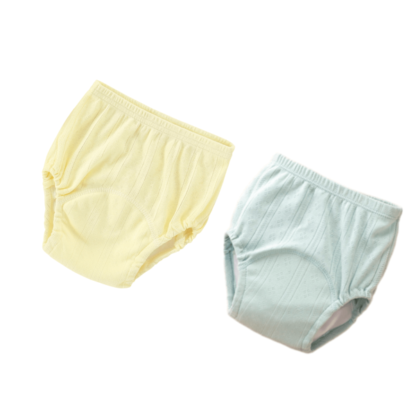 2pcs Training Pants For Summer, Mesh Potty Learning Underwear, Breathable And Soft Baby Shower Family Decorations Gifts