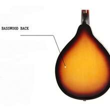 The Mandolin Harp Standard Version Is An Ideal Choice For Beginners Of Eight-String Instruments. - Multicolor - View 3