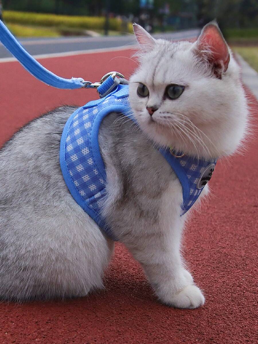 Nuevo arnés de pecho y espalda para gatos con malla transpirable y diseño fresco de cuadrícula, correa de gato para evitar escapes, adecuado para las temporadas de primavera y verano - Azul - Ver 1