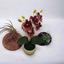 Artificial Plants - trắng - Xem 3