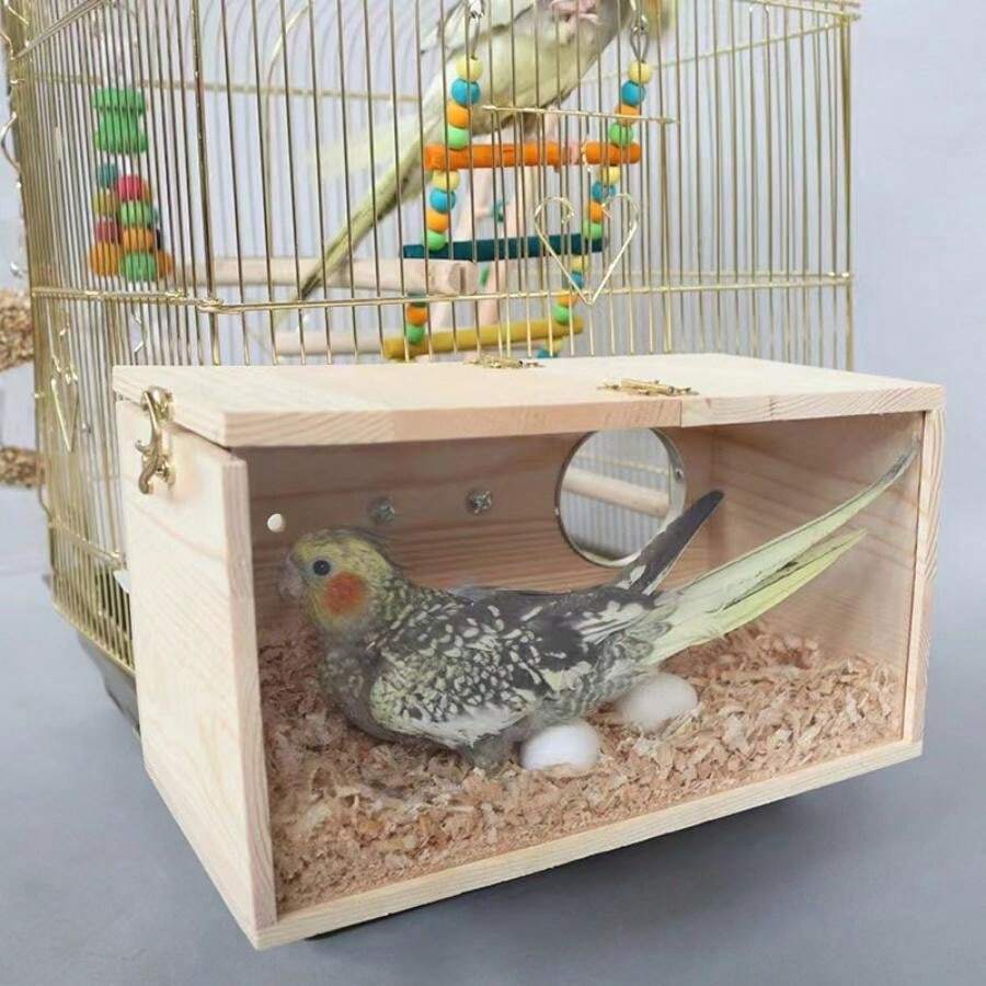 Nid d"élevage en bois pour perroquets - Fournissez à votre perroquet un ...