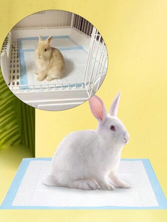 5入組寵物兔子一次性尿墊，鸚鵡尿墊，倉鼠和其他小寵物通用盤子籠子馬桶墊，貓狗通用尿墊
