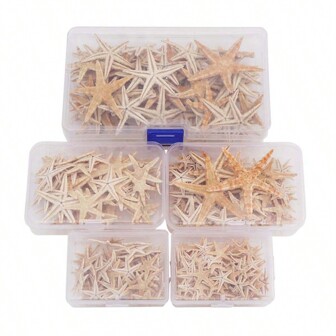 20pcs Natural Starfish In Box, Multiple Sizes, Perfect For Mediterranean Style Photography Props And Mini Landscaping