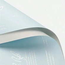 Paquete de 20 piezas de Papel de regalo impermeable con elegantes flores en dos tonos para ramos, material de empaquetado de flores - 20 unidades/paquete - Ver 13