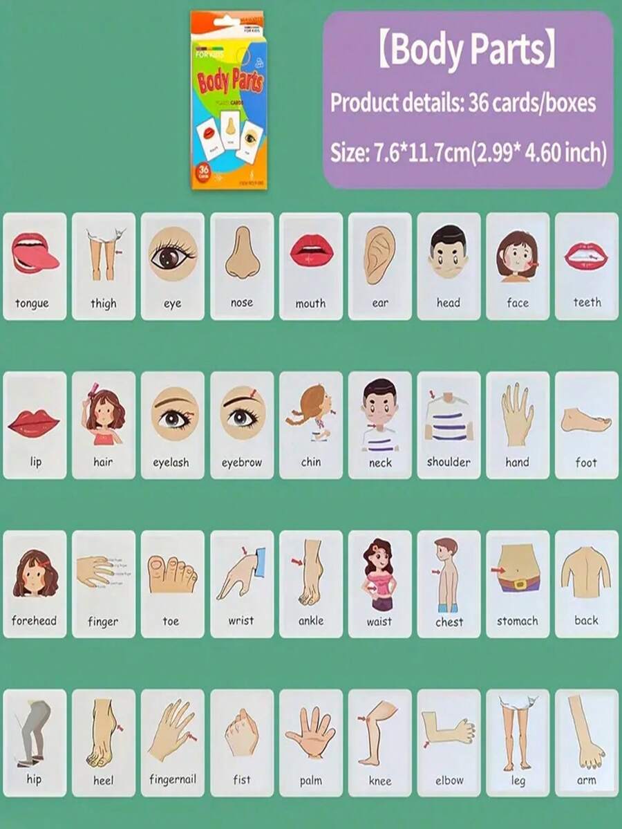 English Word Recognition Flash Cards, MultiColor Visual Flashcards