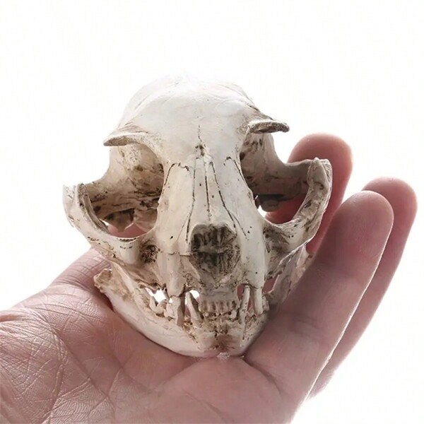 1 pièce Décoration personnalité tête de squelette en forme de crâne de chat en résine, meilleurs cadeaux