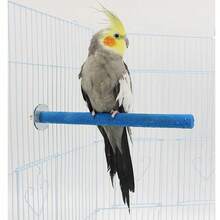 1 palo lijador de garra de loro de color aleatorio, percha para pájaros, varilla de pie para jaula de pájaros, adecuado para que los loros, zorzales y pájaros de peonía muerdan y afilem sus picos y garras, accesorio de percha de pájaro